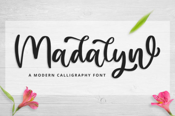 Madalyn Font Review: A Versatile Typeface for Campaign Design