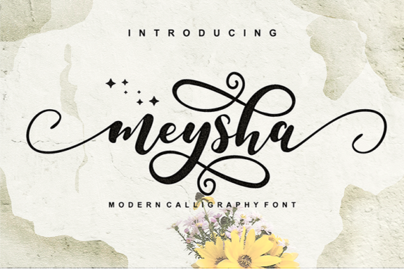 Meysha Font: A Playful Script for Stronger Campaign Messaging