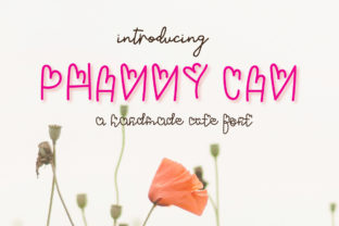 Phanny Can: A Script Font That Adds Personality to Your Web Design