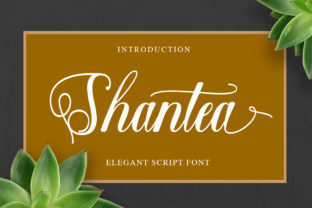 Shantea: A Handwritten Typeface for Editorial Design