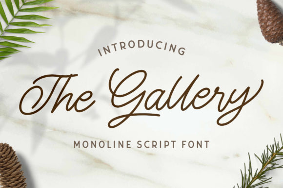 The Gallery Typeface: A Script Font for Stronger Digital Branding