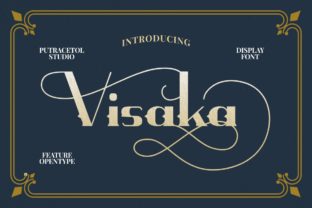 Visaka Font Review: A Display Typeface Full of Life and Love